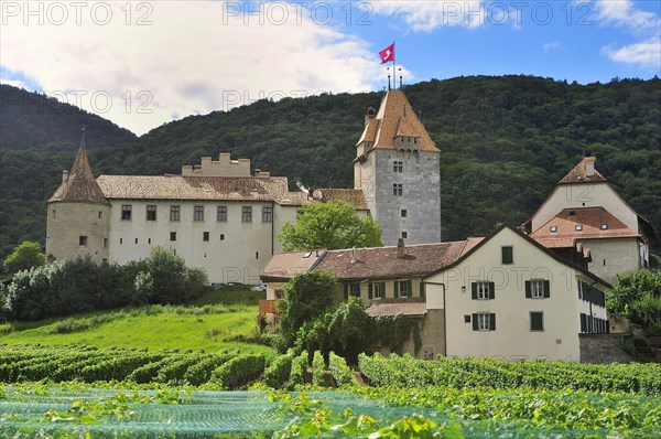 Chateau d' Aigle or Aigle Castle and vineyards