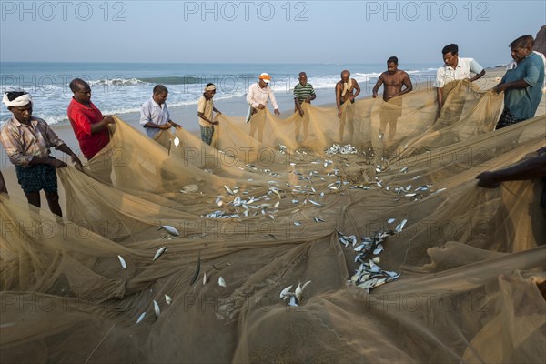 Fishermen inspecting fishing nets