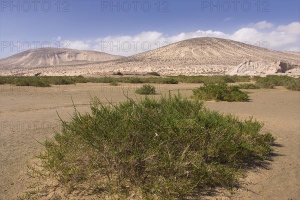 Beach of Morro Jable