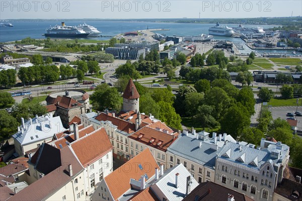 View from St. Olaf's Church of the Lower Town with the port