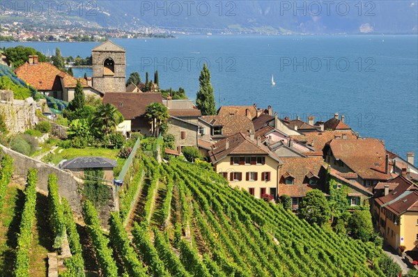 View over the wine-producing village and Lake Geneva towards Lausanne