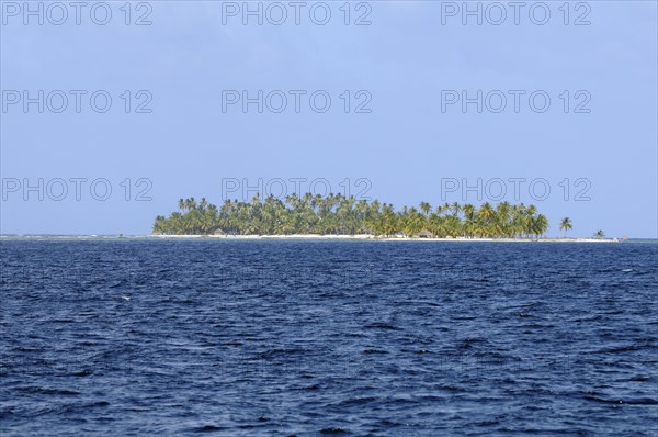 Lonely island with palm trees