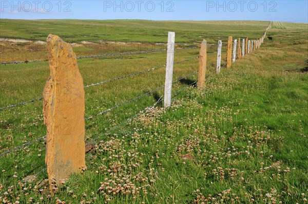 Typical fence with stone slabs