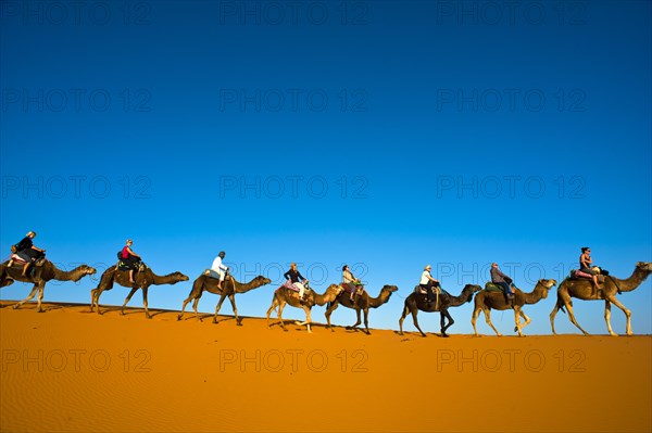 Tourists riding camels on the sand dunes of Erg Chebbi