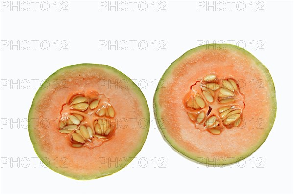 Cantaloupe or Honeydew Melon (Cucumis melo)