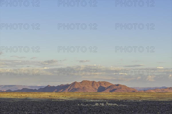 Landscape of the Namib Desert