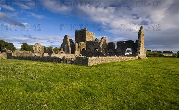 Hore Abbey