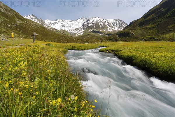 View towards Grialetsch Mountain