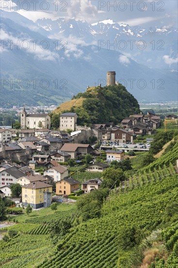 Vineyards and the Bayart Tower on a hill