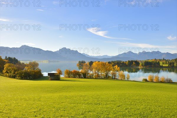 Autumn morning on Forggensee at Rosshaupten