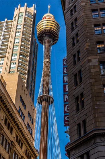 Sydney Tower