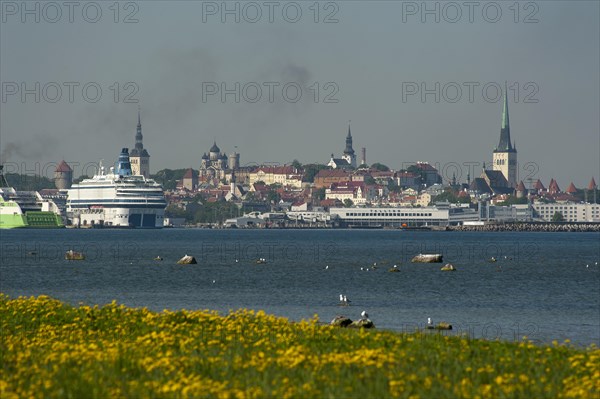 City panorama