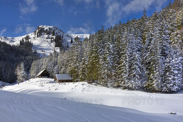 Breitenberger Alm alp near the Blaseneck peak