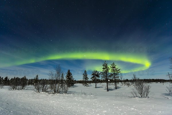 Northern Lights