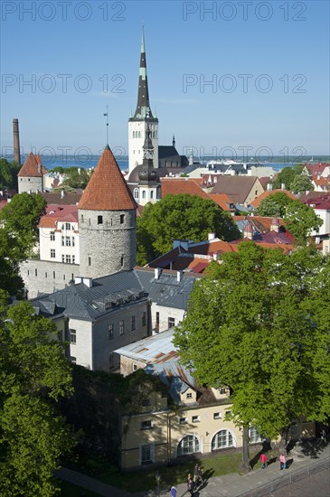 View from Toompea Hill to the Lower Town