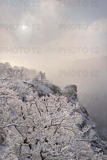 Winter landscape in the misty Bode Gorge