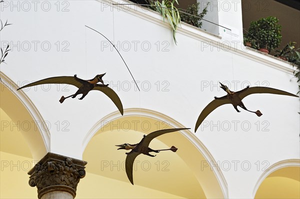 Pterosaurs