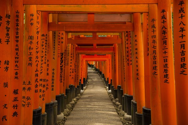 Torii or gates leading to the inner shrine