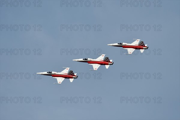 Formation flight of the Patrouille Suisse with the Northrop F-5E Tiger II