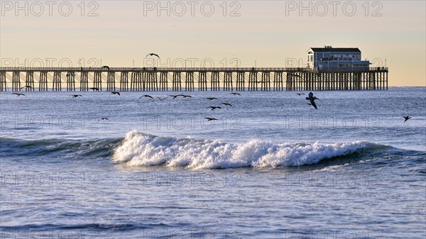 Historic Oceanside Pier in the morning light