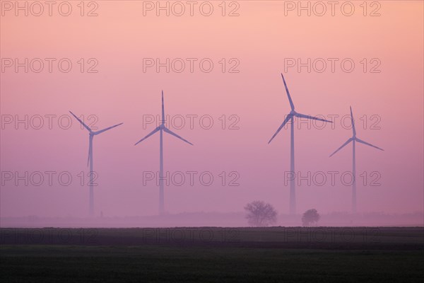 Wind farm in the fog