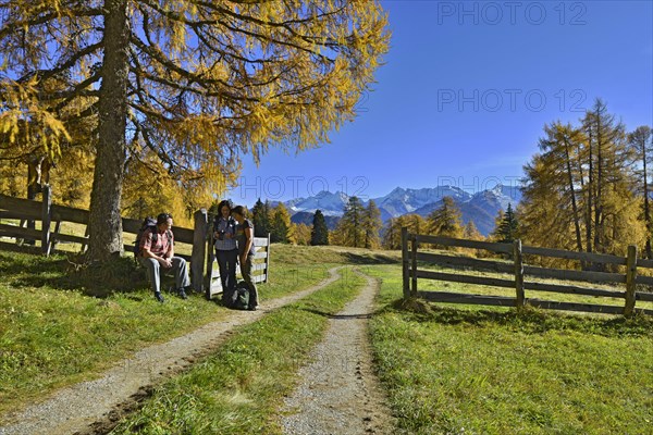 Hikers on the Larchenwiesen meadows