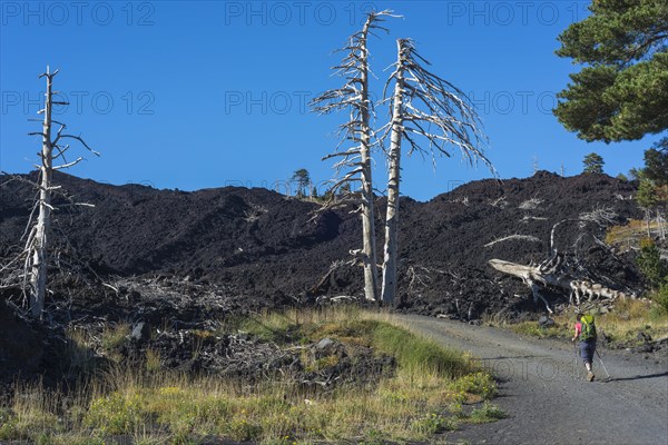 Hiker on the gravel road through the lava field from 2002