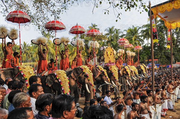 Hindu temple festival with many elephants