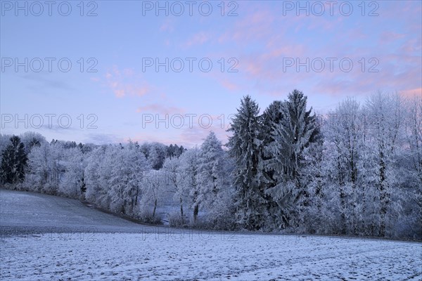 Wintry landscape in hoarfrost