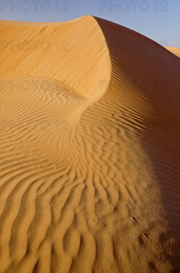 Patterns of the sand dunes of the Wahiba Sands desert