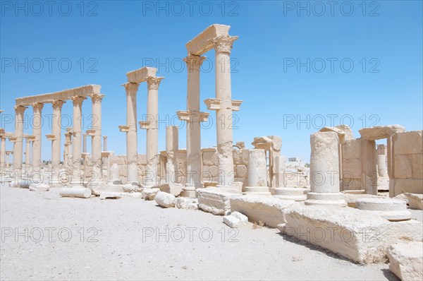 Ruins of the ancient city of Palmyra