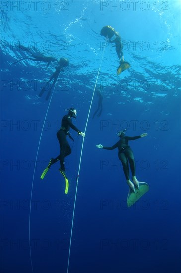 Freedivers