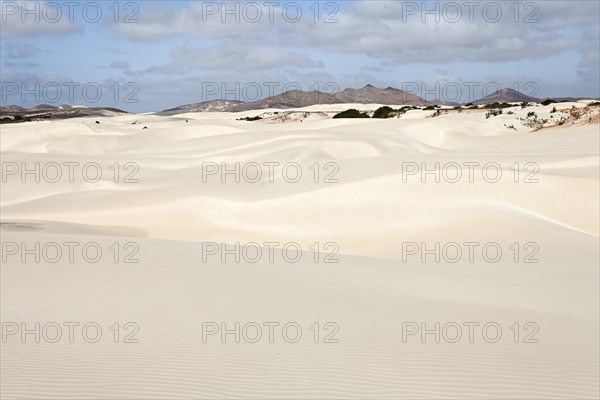 Sand dunes in the small desert Deserto Viana