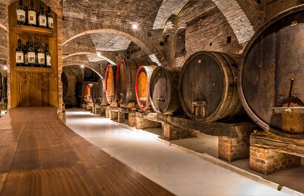 Wine cellar