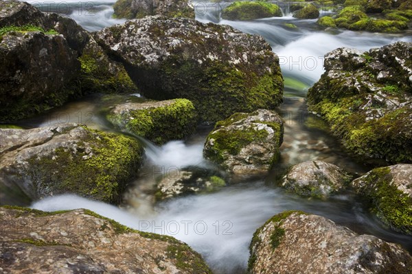 Brook with moss-covered stones