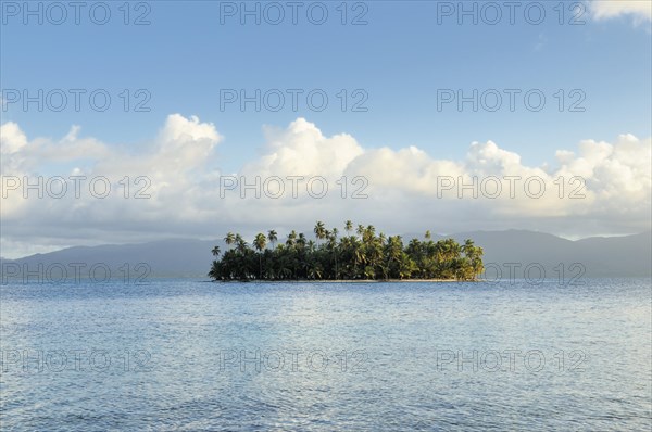 Tropical island with palm trees