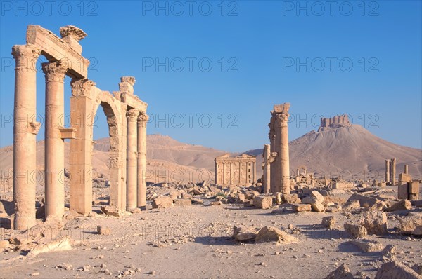 Ruins of the ancient city of Palmyra in the morning light