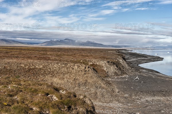 Coastal landscape