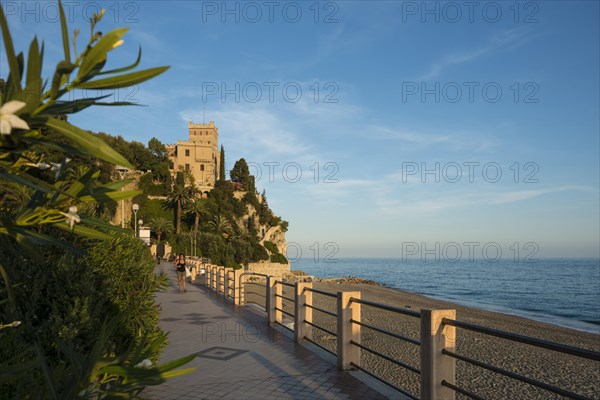 Beach in the evening light