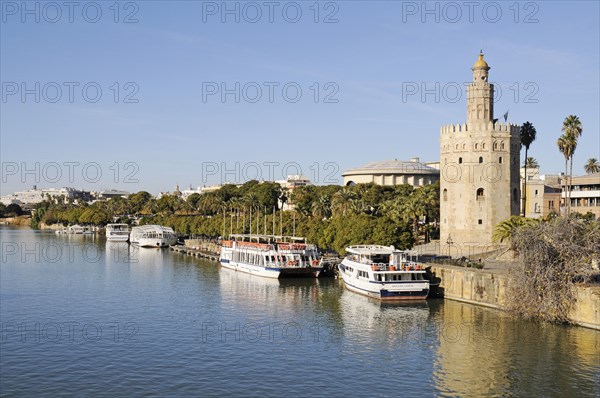 Excursion boats on the bank of the Guadalquivir River