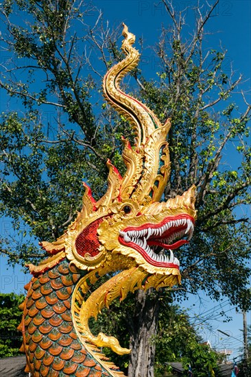 Naga at the entrance of Wat Sriboonruang