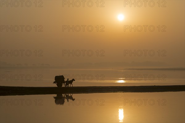 A donkey cart crossing the Yamuna river on a dam at sunrise