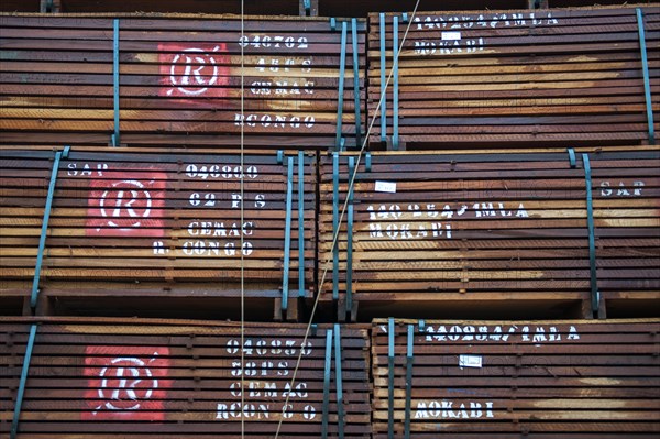 Labeled tropical timber on a truck