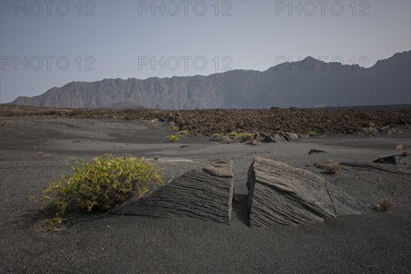 Volcanic rock and ash
