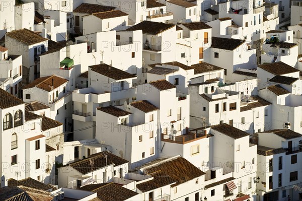 Houses in Casares