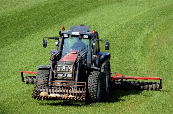 Tractor with cambridge roller works on green fields at spring farming. Ruuthsbo