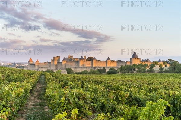 Carcassonne