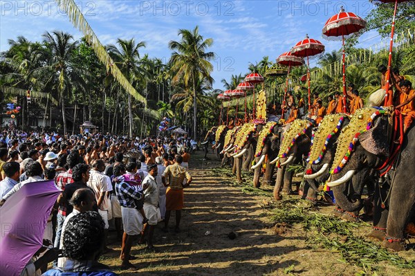 Hindu temple festival with many elephants