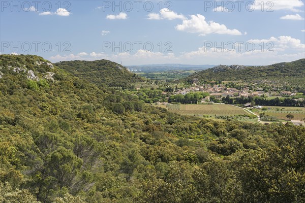 Typical Garrigue or scrubland landscape in southern France
