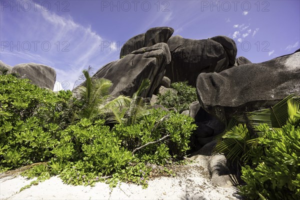 Typical rock formations in the Seychelles